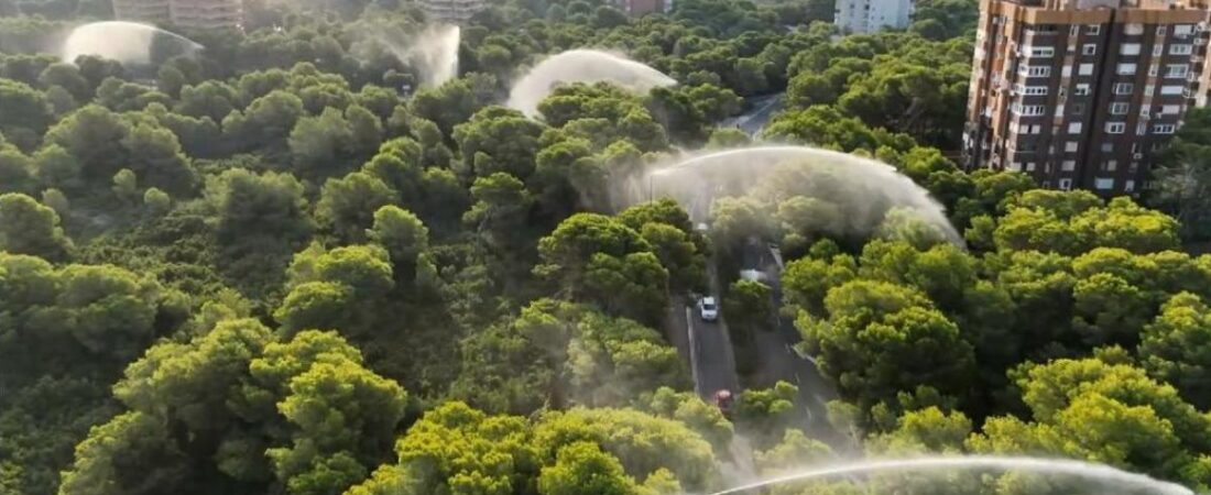El Ayuntamiento de València cierra los accesos a la Devesa del Saler por la ola de calor