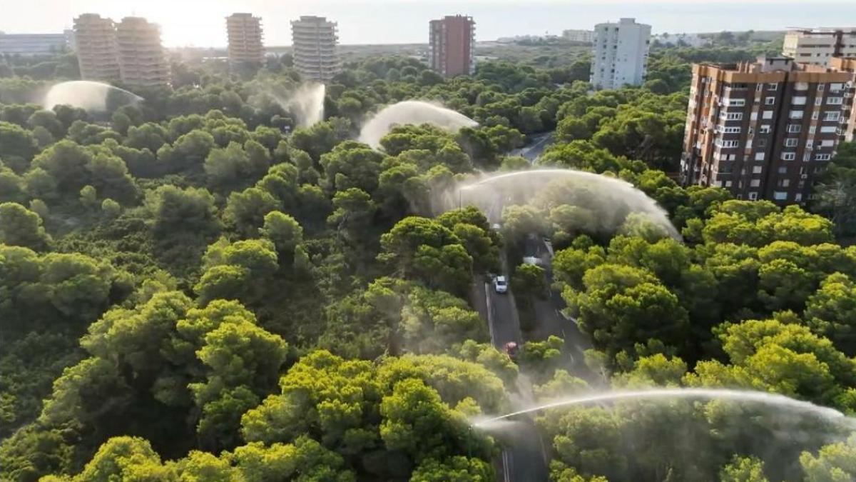 El Ayuntamiento de València cierra los accesos a la Devesa del Saler por la ola de calor