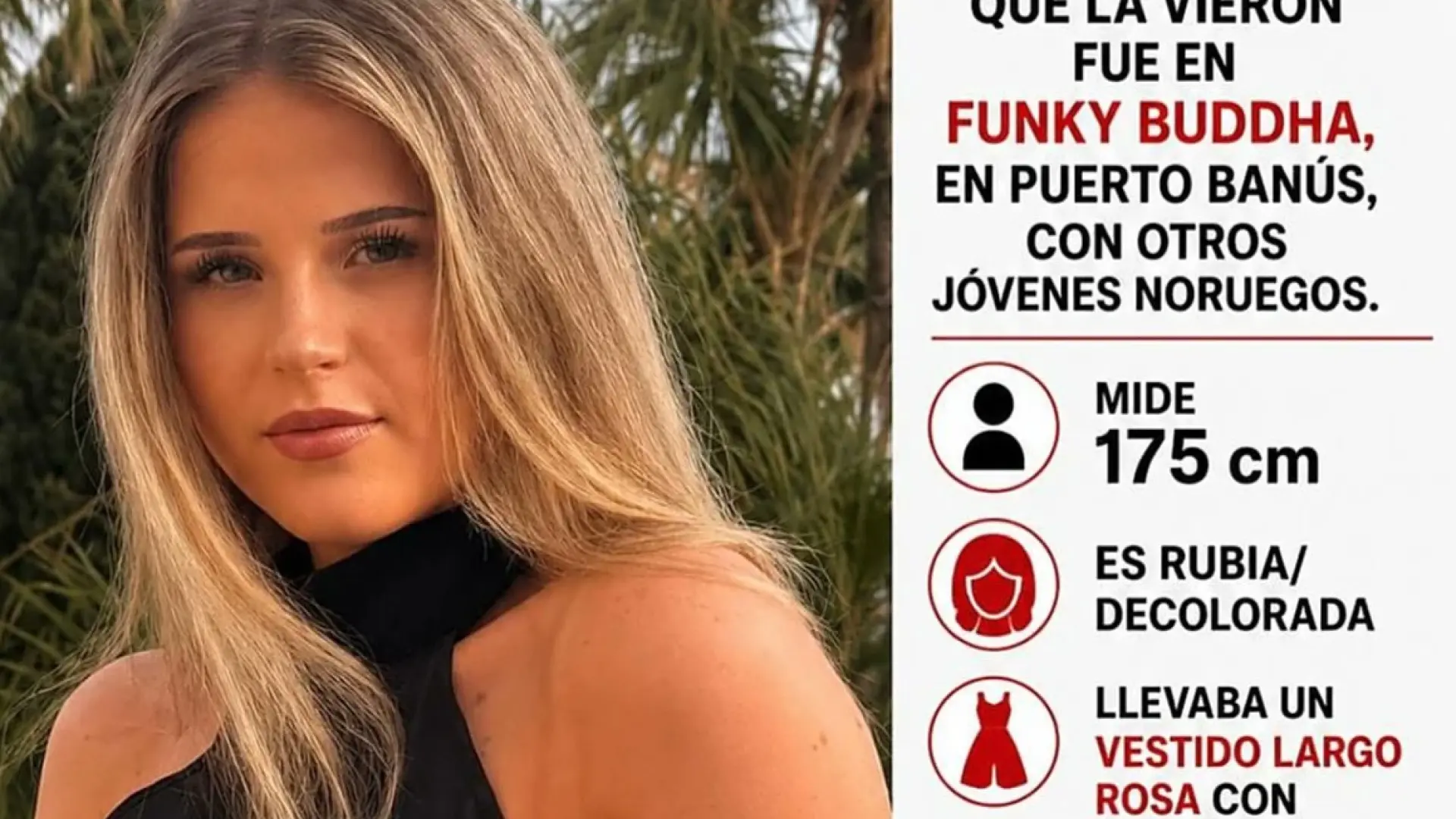 El detenido habría limpiado su furgoneta con lejía horas después del atropello mortal de Nikoline, la joven noruega
