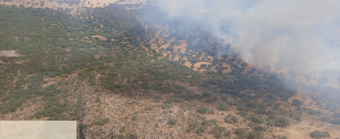El incendio de la Sierra del Castillo en Los Blázquez ya está controlado
