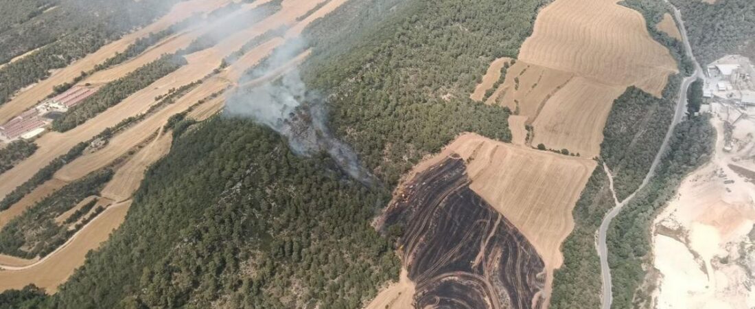 Estabilizado el incendio forestal en Pontils, en la Conca de Barberà