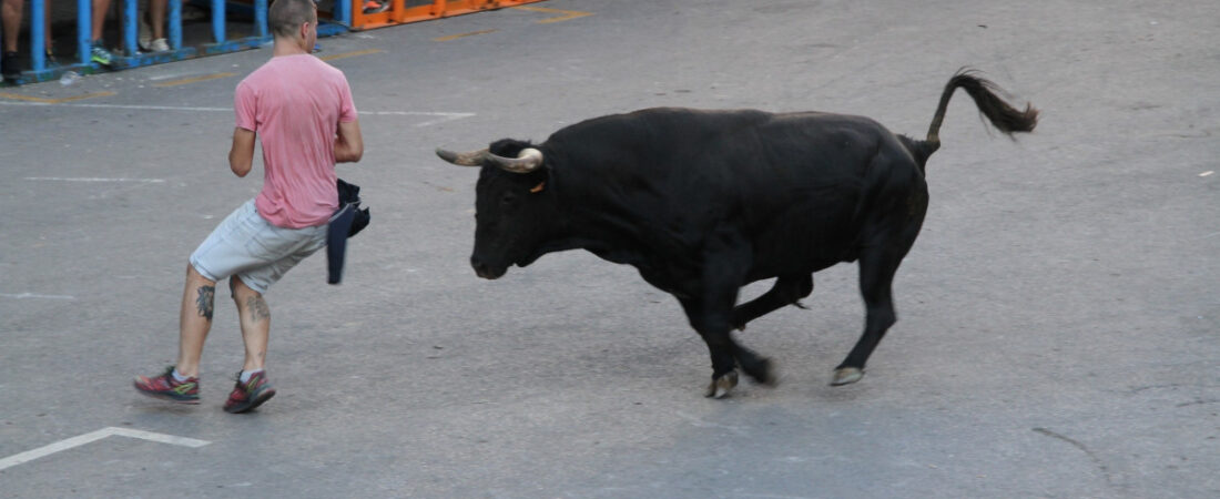 Las peñas de «bous al carrer» recurrirán ante la Justicia el reglamento aprobado por la Generalitat