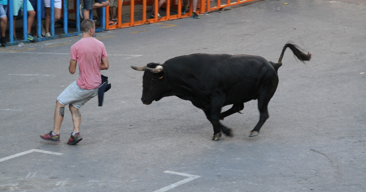 Las peñas de «bous al carrer» recurrirán ante la Justicia el reglamento aprobado por la Generalitat