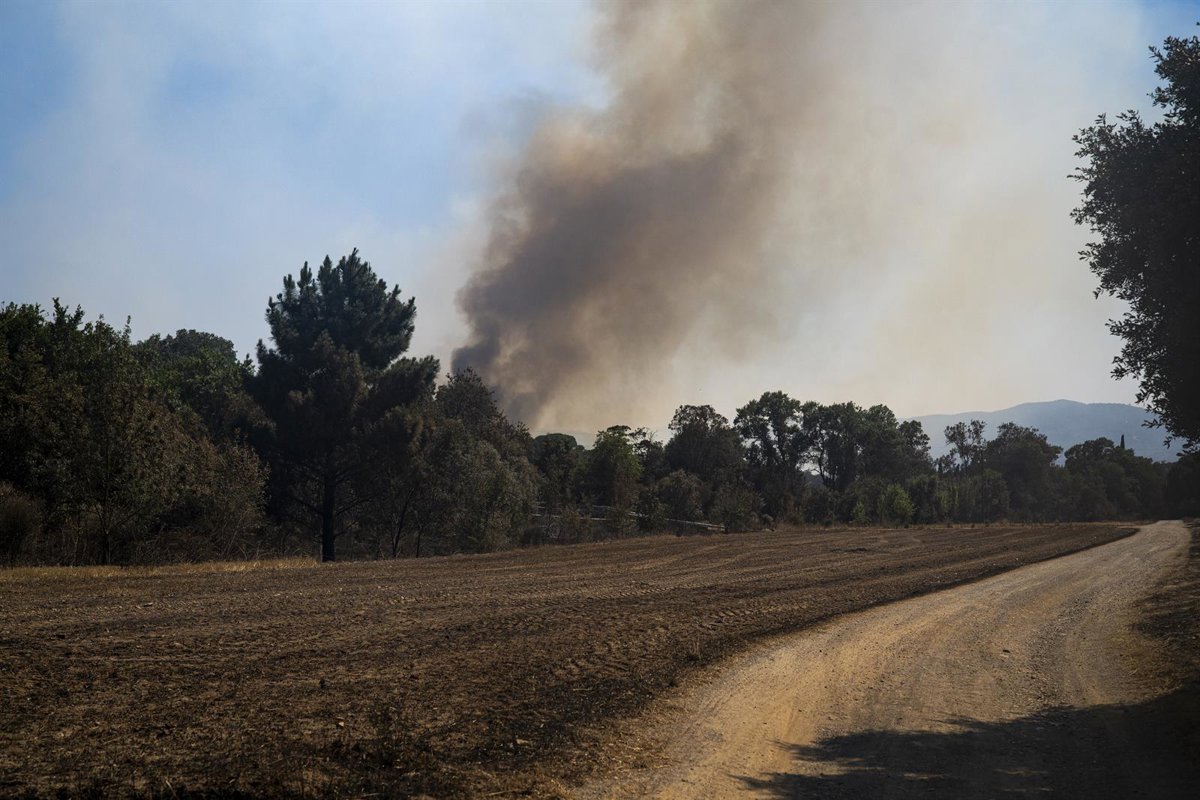 Los Bombers descartan dar por controlado este domingo el incendio de la Bisbal (Girona)