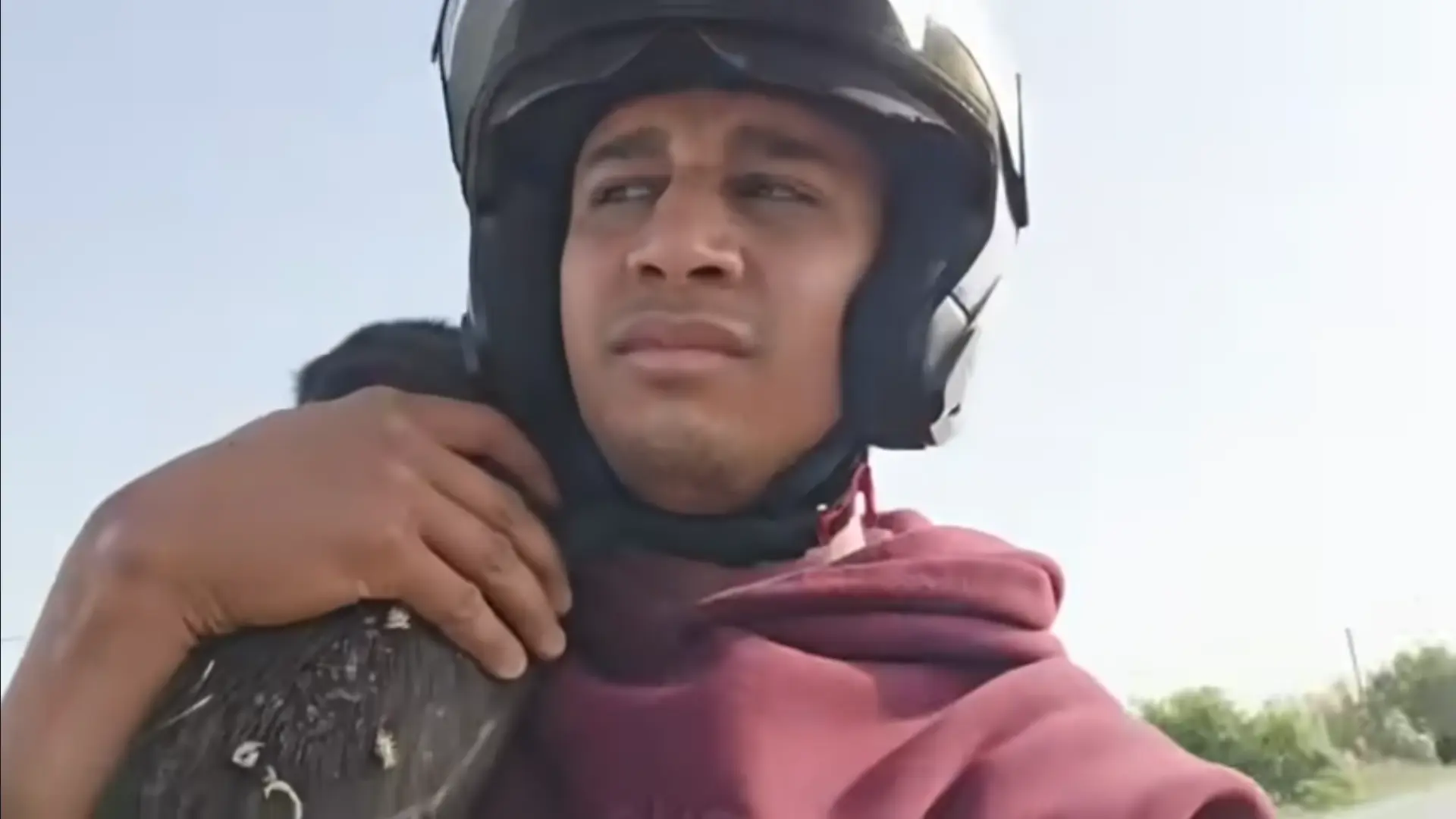 Un tribunal condena a un polémico ‘youtuber’ a ocho meses de cárcel por cocinar a un perro callejero