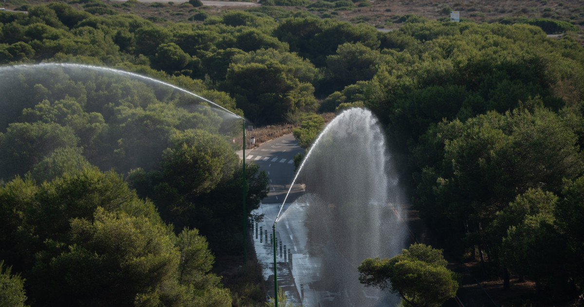 Valencia activa su escudo de agua contra los incendios: 11 cañones para proteger la Devesa